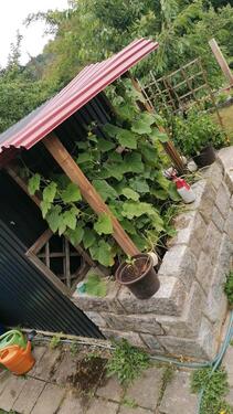 Foto - Grundst&uuml;ck in Rabenau