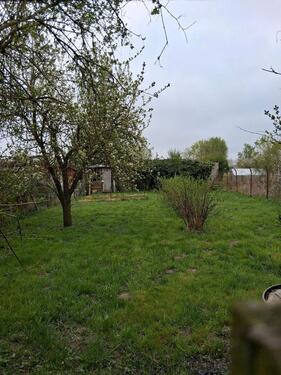 Foto - Loitz Garten zu Verpachten - 25,00 EUR Kaltmiete, ca.  0,00 m²