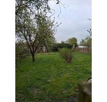 Loitz Garten zu Verpachten - 25,00 EUR Kaltmiete, ca.  0,00 m² in Loitz (PLZ: 17121)