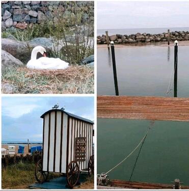 Foto - andere zur Miete in Damp