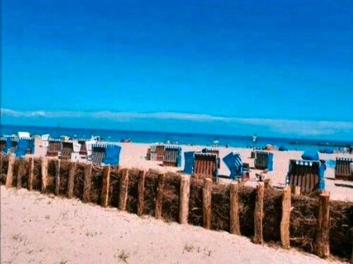 Foto - andere in Damp zur Miete