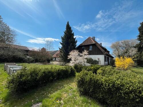 Foto - 9 Zimmer Einfamilienhaus zum Kaufen in Schwarmstedt