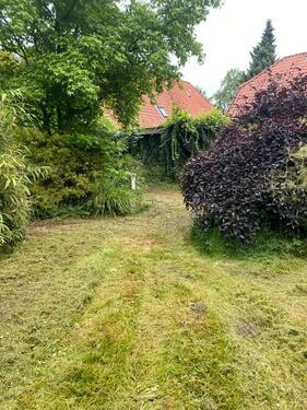 Foto - Einfamilienhaus in Schwarmstedt zum Kaufen