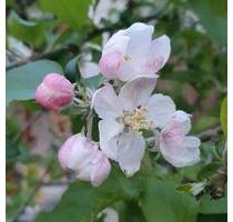 1.Zi.WohnungBüro mit kochnische,WohnenSchlafen,BadWC - Offenbach am Main Hafen