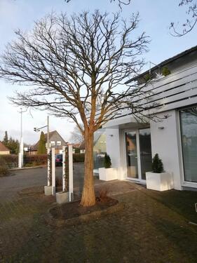 Foto - andere in Celle