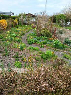 Foto - 180 qm Kleingarten abzugeben - 1.000,00&nbsp;EUR Kaltmiete, ca.&nbsp; 0,00&nbsp;m&sup2;