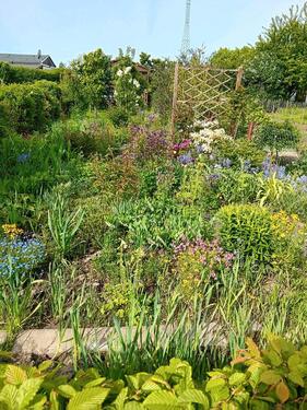 Foto - Grundst&uuml;ck zur Miete in Leipzig