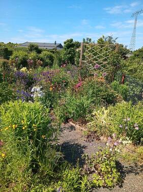 Foto - Grundst&uuml;ck in Leipzig zur Miete