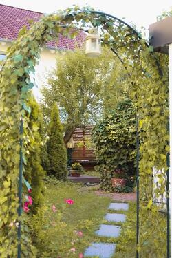Foto - Einfamilienhaus zum Kaufen in Nagold
