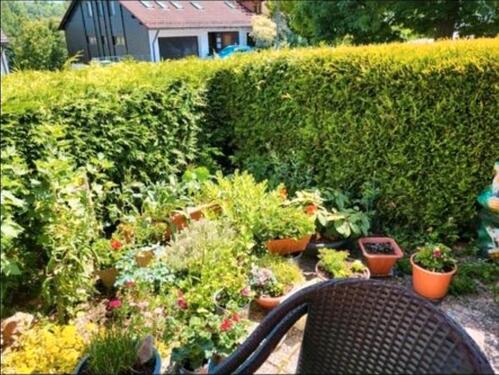 Foto - 2 Zimmer Etagenwohnung zum Kaufen in Bad Alexandersbad