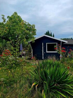 Foto - Schrebergarten Maadebucht - Kleingärtnerverein