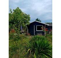 Schrebergarten Maadebucht - Kleingärtnerverein - Wilhelmshaven