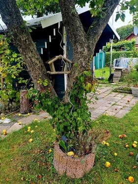 Foto - Grundstück in Wilhelmshaven