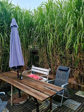 Foto - Grundstück in Wilhelmshaven zur Miete