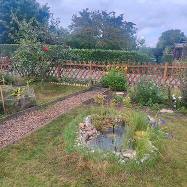 Foto - Grundstück zur Miete in Dresden