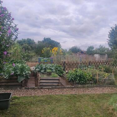 Foto - Grundstück in Dresden