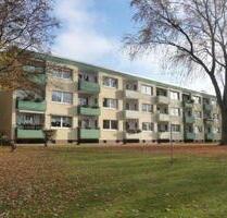 2 Zimmerwohnung vermietet im EG.- Balkon, Heidberg - Braunschweig Heidberg-Melverode