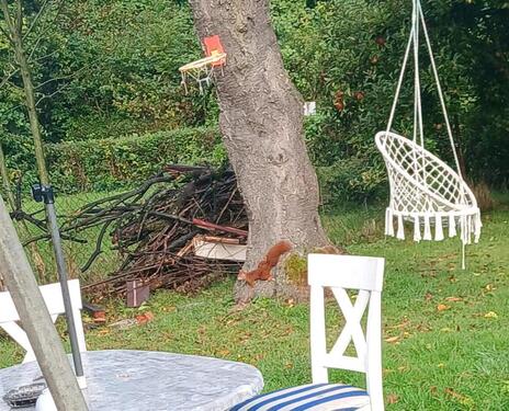 Foto - Grundstück zur Miete in Brake (Unterweser)