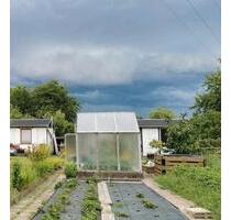 Garten mit Gewächshaus Laube und Schuppen - Heidenau