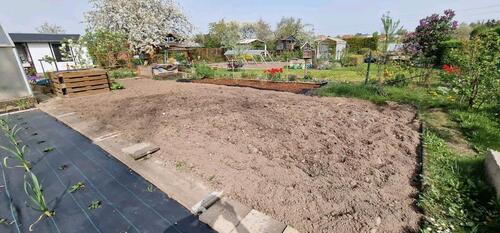 Foto - Grundstück in Heidenau zur Miete