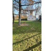 Haus in Drebber zur Vermieten - 950,00 EUR Kaltmiete, in Neuenkirchen-Vörden (PLZ: 49434)