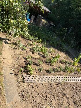 Foto - Grundst&uuml;ck zur Miete in Borna