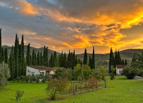 Foto - Herrliches kleines Ferienhaus in Andalusien für zwei Personen