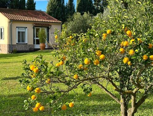 Foto - andere zur Miete in Neuburg an der Donau