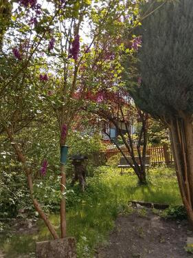 Foto - Doppelhaushälfte in Arzberg zum Kaufen