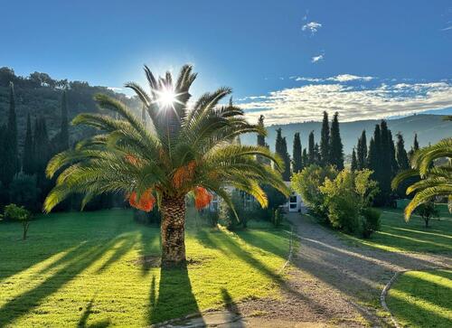 Foto - andere zur Miete in Neuburg an der Donau