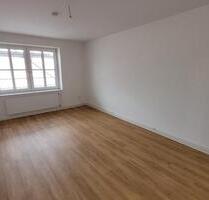 Helle, komplett renovierte 2-Zimmer Wohnung - Soltau