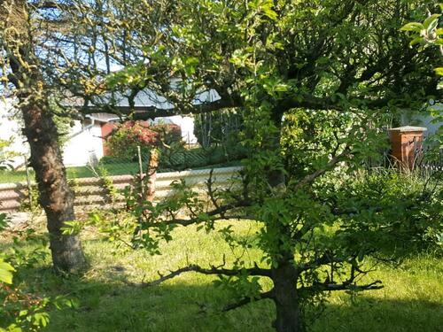Foto - Einfamilienhaus in Gägelow zum Kaufen