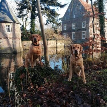 Foto - andere in Ochtrup