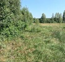 Erster Monat kostenlos! Schmack Wald – Dein privates Naturparadies im Wald wartet auf dich! - Schönwald