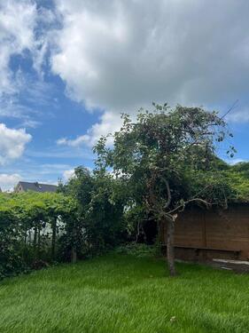 Foto - 8 Zimmer Einfamilienhaus in Rehden