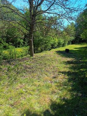 Foto - Grundst&uuml;ck zur Miete in Bad Überkingen