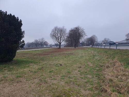 Foto - andere zum Kaufen in Pocking