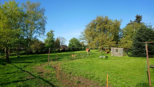 Foto - Einfamilienhaus zum Kaufen in Jördenstorf