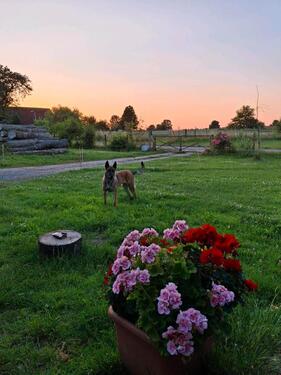 Foto - Einfamilienhaus in Jördenstorf zum Kaufen