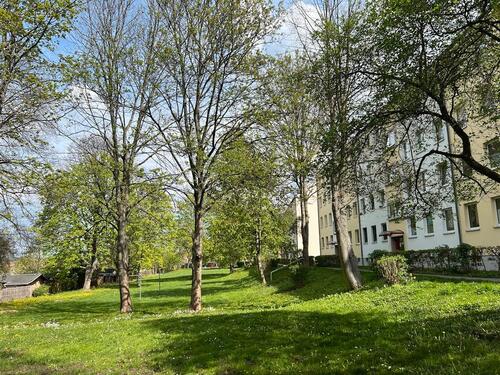 Foto - 3 Zimmer Erdgeschoßwohnung in Chemnitz
