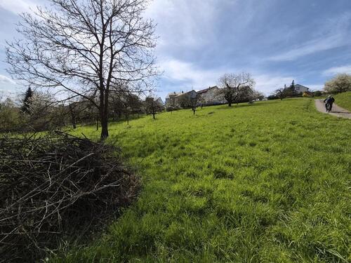 Foto - Grundst&uuml;ck in Esslingen am Neckar