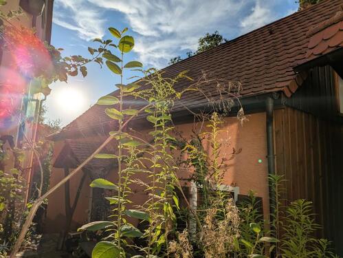 Foto - Einfamilienhaus zur Miete in Schwäbisch Hall