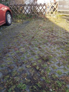 Foto - Außenstellplatz für PKW - 35,00&nbsp;EUR Miete,