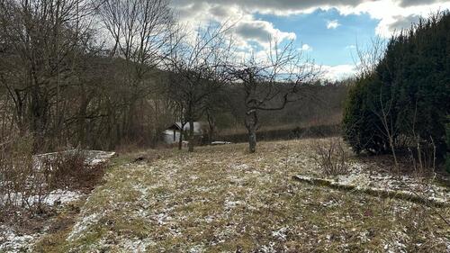 Foto - Garten mit massiv Haus - ca.  0,00 m²