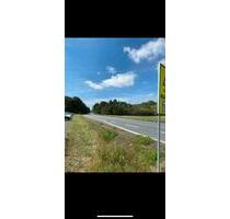 Halle - Lagerhalle - Kalthalle - Gewerbeimmobilie - Lagerfläche - Herzberg am Harz