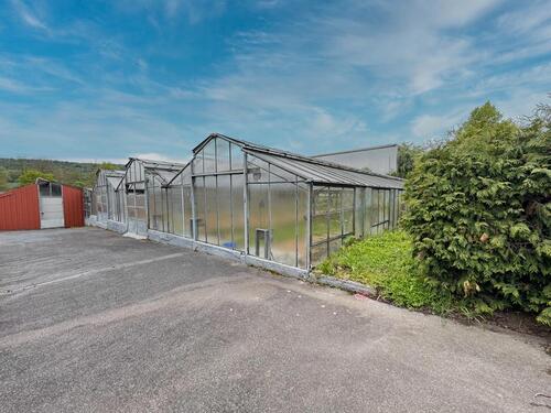 Foto - Gewächshaus mit ca. 500 m² in Großbottwar ***Teilflächen möglich***