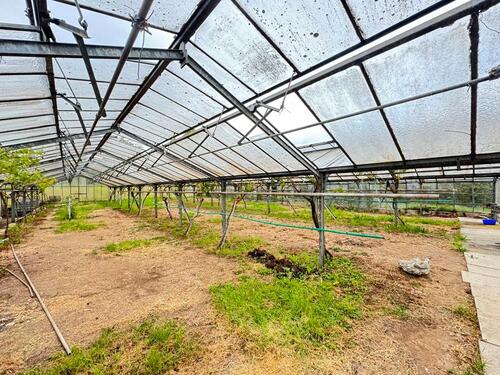 Foto - andere in Großbottwar