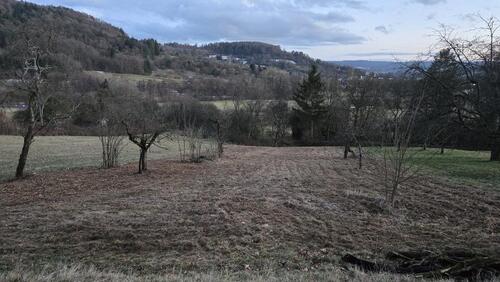 Foto - Grundstücke Garten Streuobstwiese Steinenberg Rudersberg