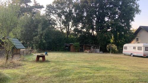 Foto - Einfamilienhaus in Velpke zum Kaufen