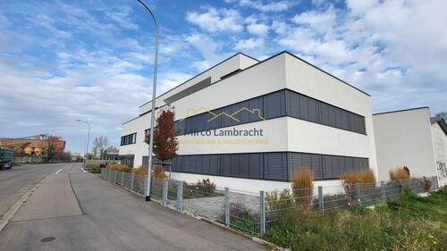 Foto - andere in Breisach am Rhein